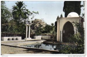 El Goléa  Vieux ksar vu du jardin de l'annexe