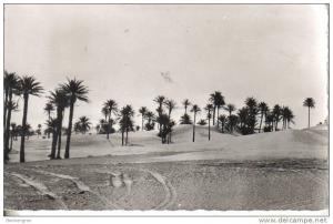 El Goléa  le grand erg