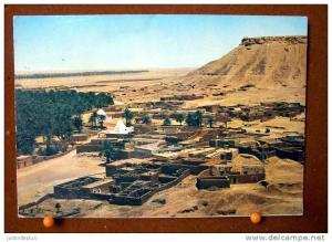 CPSM ALGERIE  EL GOLEA LE MARABOUT ET LE VIEUX KSAR N° M 235