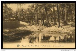 CPA MISSIONS DES PERES BLANCS SAHARA EL GOLEA / NELS