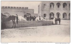 QUARTIER DE CAVALEVIE SPAHIS EL-GOLEA  (F4080)