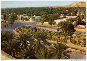 ALGERIE / ALGERIEN   El Golea  General view