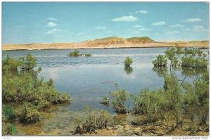 EL GOLEA.  La Grande Sebkra.