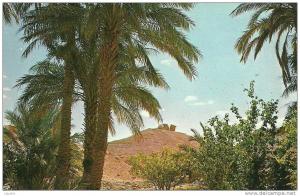 EL GOLEA.  Timbouzid.