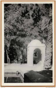 Algérie / EL GOLEA - Puits artésien, Jardins de l'Annexe (années 40-50)