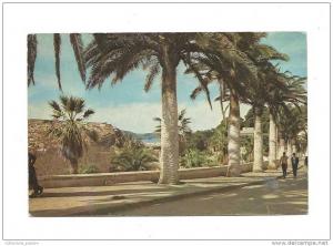 cp, Algérie, El Golea, Vue prise du Ksar, écrite