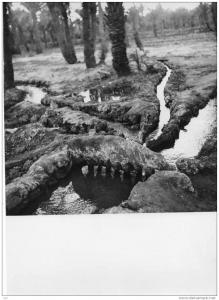 PHOTO originale -Afrique  EL GOLEA   Cliché n° 6118  Photo ESSO  Format Géant  23.5 x 17 cms