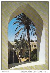 ALGERIA - AK 56441 El Goléa - vue pittoresque