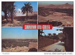 ALGERIA - AK 56432 Souvenir d' EL Golea