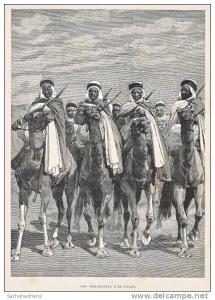 Algérie. Les Méharistes d´El-Goléa