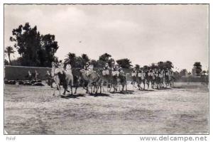 EL GOLEA - defile de meharistes   (19461)