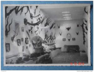 El-Golea,musee  colonnel aUGERIAS,salle du pavillon de chasse