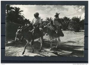 el-goléa - indigènes sur leurs bourricots