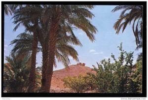 1986 - ALGERIE - EL-GOLEA - Timbouzid