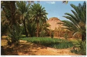 El Golea vue du vieux ksar