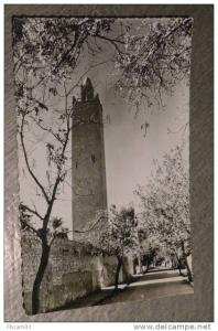 Carte Postale  Ancienne  EL GOLEA  Rue de la Mosquée
