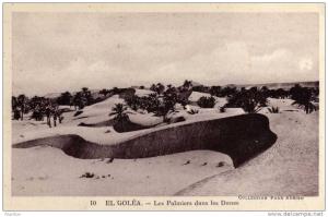 ALGERIE / ALGERIEN   EL GOLEA    Les Palmiers dans les Dunes