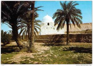 CPM/CPSM   El Golea Marabout    M177