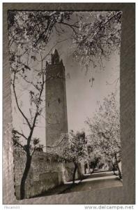 Carte Postale  Ancienne  EL GOLEA  Rue de la Mosquée
