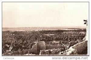 El golea palmeraie vue du vieux port