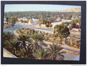 CPSM ALGERIE-El Golea