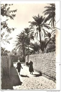 ALGERIE - EL GOLEA - Une ruelle de l´Oasis - CPSM