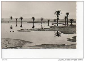 EL GOLEA. La Sebkha d'El Melah