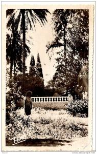 CPSM EL GOLEA,  sud algérien, jardin, personnage, 1952