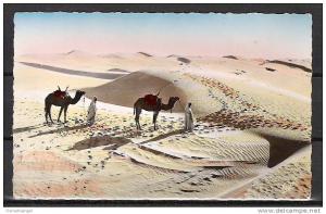 TOP!! EL GOLEA * DANS LE GRAND ERG **!!