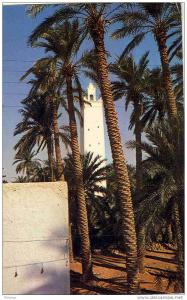 algerie carte postale N°4173 el golea la mosquee palmier ut TBE