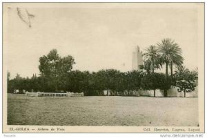 El Golea - Arbres de Paix - (13/6/1939)
