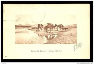 CPA 1908 ?? Extrême Sud Algérien - Environs d' El - Goléa