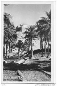 EL GOLEA  - La vielle forteresse  berbère