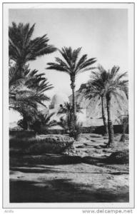 EL GOLEA  Sidi Cheikh