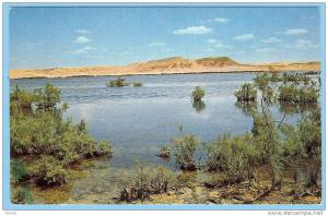 CARTE POSTALE 4174 EL GOLEA LA GRANDE SEBKRA . PRINTED IN FRANCE