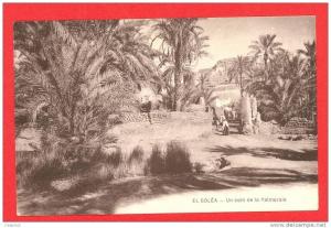 EL GOLEA cpa petite animation Un Coin de la Palmeraie