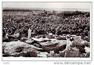 Algérie - Z748 - El Golea - Vue générale de l'oasis - Semi moderne petit format - état