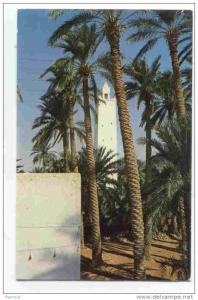 Algérie. El Golea. La Mosquée