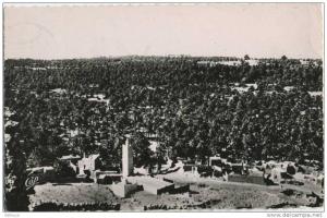 EL GOLEA Palmeraie vue générale cpsm