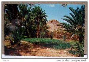 cpsm  El Goléa  Algérie  - Vue du Vieux Ksar -