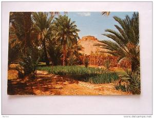 Algerie - EL GOLEA    1960´s  VF  D22025