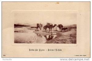 Extrême -Sud Algérien- Environs d´El-Goléa-Chameaux- 1923