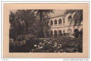 CPA     ALGERIE      EL GOLEA