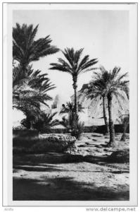 EL GOLEA - 6 - Sidi Cheikh - éd. J. LUSSON