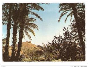 EL GOLEA Caprice de la nature ALGERIE