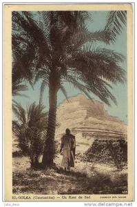 El Goléa . Un Ksar du Sud