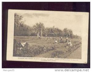 22876 mission des pères blancs sahara el goléa enfants de l'orphelinat st augustin édit.cap