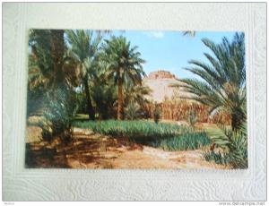 Algerie, Alger, EL GOLEA  1970   VF/XF   D3807