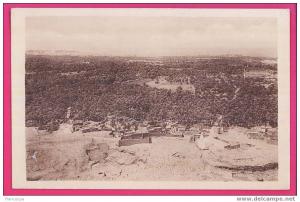 ALGERIE  1205   EL GOLEA  Ce que l'on voit d'en haut du Ksar