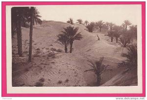 ALGERIE  1202   EL GOLEA  Dunes de sable envahissant la Palmeraie